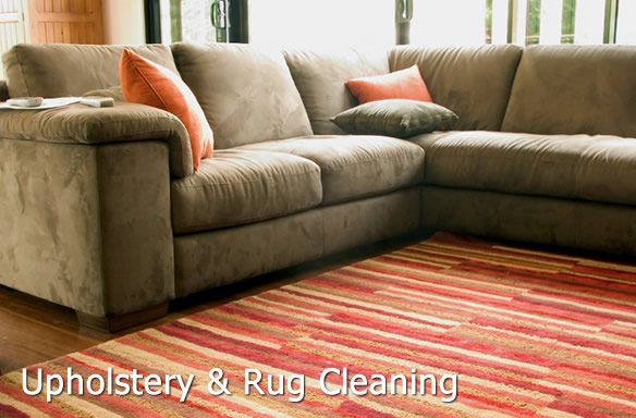 Upholstery & Rug Cleaning